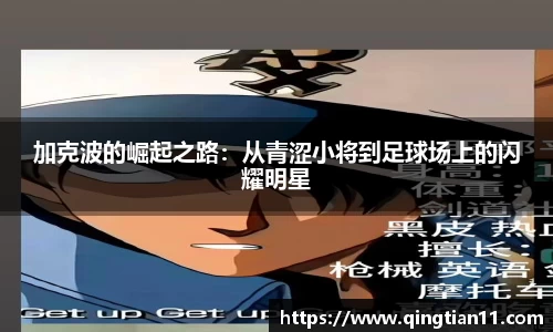 彩神彩票vIII