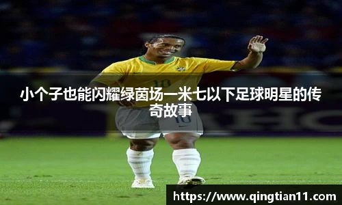 小个子也能闪耀绿茵场一米七以下足球明星的传奇故事